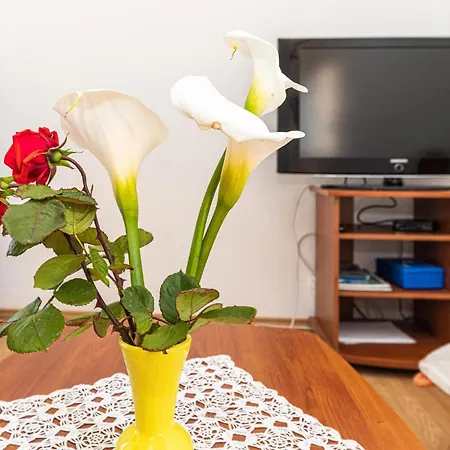 1 Bedroom Stunning In Okrug Gornji